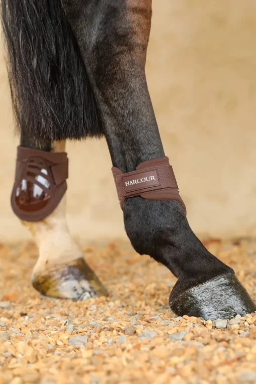 Harcour Maddi Proteges-boulets| Protections