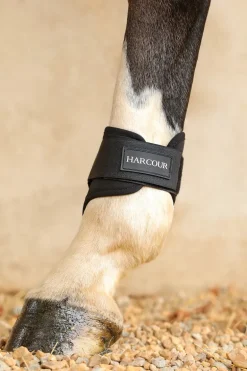 Harcour Maddi Proteges-boulets| Protections