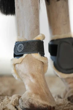 Harcour Totseen Proteges boulets| Protections