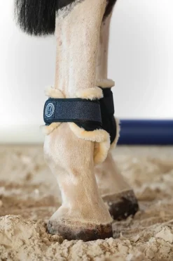 Harcour Totseen Proteges boulets| Protections