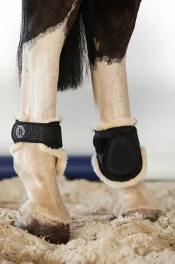 Harcour Totseen Proteges boulets| Protections